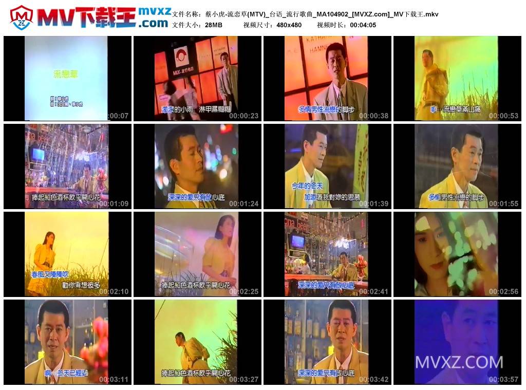 蔡小虎-流恋草(MTV)_台语_流行歌曲_MA104902